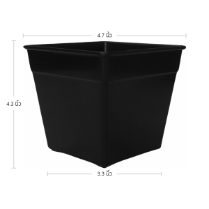 กระถาง กระถางแคคตัส กระถางสี่เหลี่ยม ขนาด 5 4.6 นิ้ว สีดำ 50 ใบ ชิ้น อัน