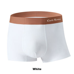 Cacti Keno 1-4Pcs Comfortable Mens Boxer Solid Ice Silk Waffle Fabric Soft Highly Elastic Breathable Briefs M-2XL