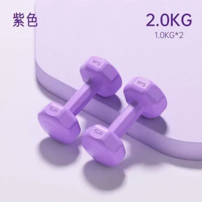 THE SWEAT CLUB 1KG 2KG 3KG Pair 2 Pcs Pastel Matte PVC Dumbbell Gym Dumbell Exercise Weights Fitness Dumbbells Muscle Fitness Equipment Dumbbell Set Beginners Strength Training Sports Home Workout Set