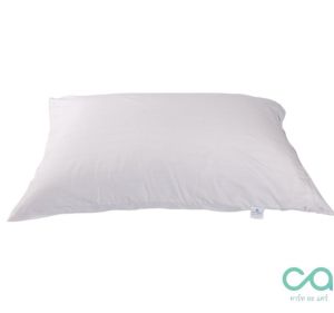 ปลอกหมอนหนุนกันไรฝุ่น ไมเท็กซ์