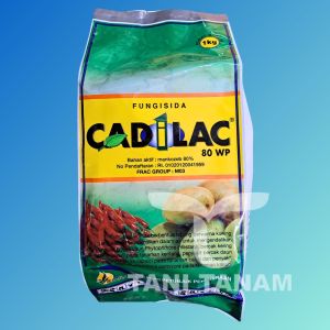 CADILAC 80 WP 1 KG FUNGISIDA PENGENDALI PENYAKIT // KADILAK