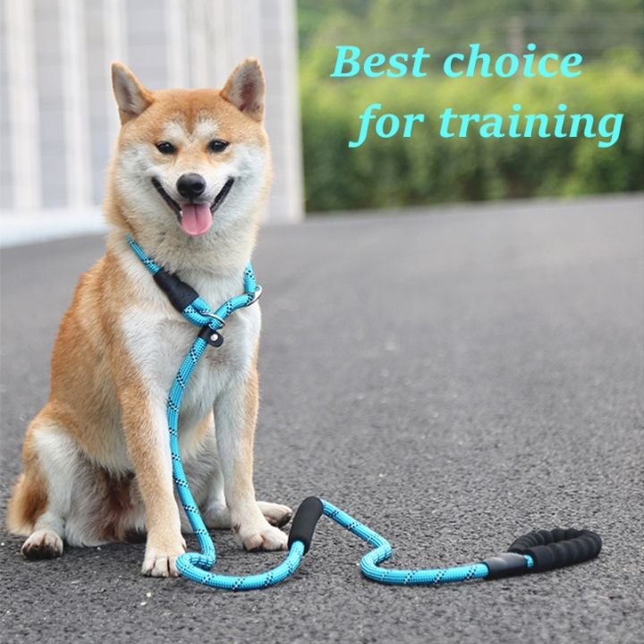 Thick Loop Leads For Dogs Friends Forever Extremely Durable Dog