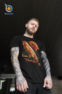 Bawara Kaos Gambar Kenari 01 Kaos Kicau Mania Indonesia Bahan Cotton Combed Nyaman Dipakai