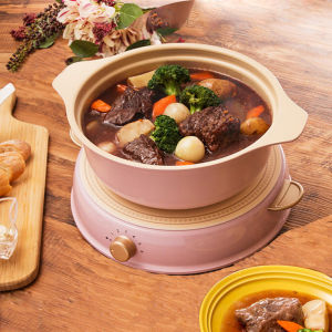 IRIS Ricopa Induction Cooker Hot Pot Household Ceramic Electric Small Hot Pot Electric Cooker Non-stick Pot Set