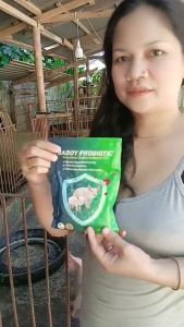 [Express Shipping] Baboy Probiotic Feed Additive 250g for Pigs – Supports Rapid Growth Helps Manage Diarrhea and Improves Productivity