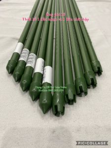 10 ống thép bọc nhựa phi 16 dài 240cm chuyên dùng làm khung giàn leo