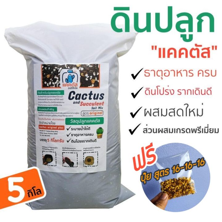 10 อันดับดินปลูกและวัสดุปรับปรุงดินที่ดีที่สุดสำหรับสวนของคุณในปี 2025