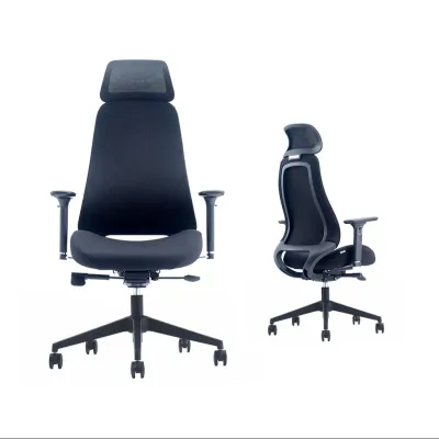 AXNOVA เก้าอี้สำนักงานสีดำ พร้อมพนักพิงสูงและหมอนรองศีรษะ Working Chair Lion-A