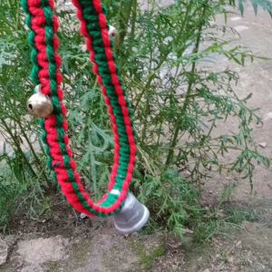 kalung sapi pengaman dari maling