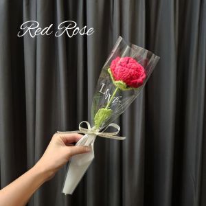 【Mother’s Day】Crochet Flower Gift | Knitted Rose Sunflower Carnation | Handmade Eternal Flower for Mum