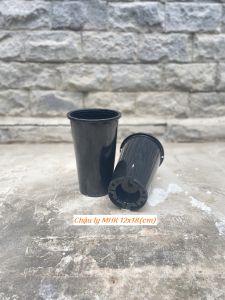 Chậu ly MHK  chậu trụ cao (12x18/15x23) màu đen / trong (nhựa cứng đáy thoáng nước) kiểng lá  xương rồng  sen đá  bonsai !