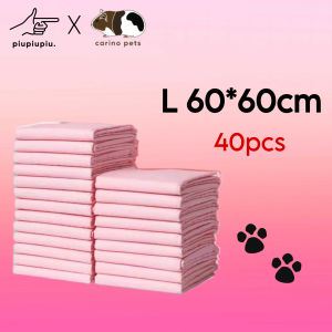 [24HR SHIP] 5-LAYERS EXTRA THICK PET PEE PAD Wee Wee Pad Pet Pad Sheet Dog Training Pad Cat Rabbit Pet Diaper Pad Kencing Haiwan Kecil 猫狗 宠物尿片