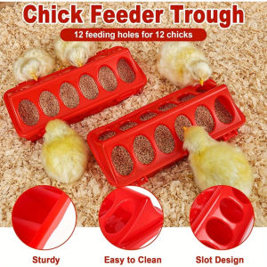 Anti-Waste Double Sided Pigeon Feeder 10pcs 12 Holes Chicken Quail Duckling Farm Poultry Feed Tray