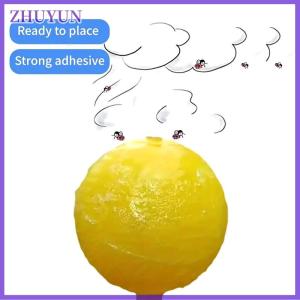 ZHUYUN Sticky Traps Flying Insects Traps Ball Effective Fly Catcher Killer Fruit Fly Killer For Plants Catching Fruit Insects