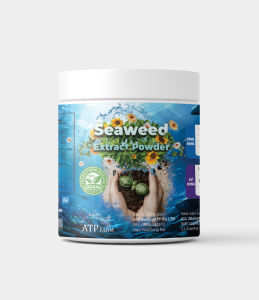 ATP Farm - Seaweed extract powder : Phân bón chiết xuất rong biển dạng bột hữu cơ nhập khẩu ICL - Israel