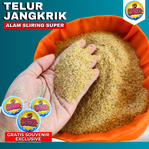 jual telur jangkrik alam bekasi kemasan 500 gram