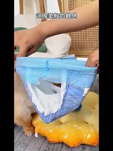 Honeycare Male or Female Both Use  Diaper Dog Diaper  Cat Diaper  Pant And Underware  Diaper  Pants 10PCS