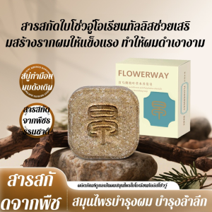 สบู่สมุนไพรดูแลเส้นผม Polygonum multiflorum และใบ Arborvitae สบู่ทำมือทำความสะอาด ขจัดคราบไขมัน และทำความสะอาดอย่างล้ำลึกด้วยสารสกัดจากพืชสมุนไพร