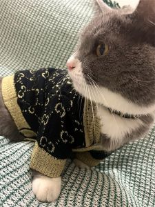 Pet Clothes Fashion Brand Black Gu ci Pattern Sweater Cardigan Shirt for Pet Dog Cat Shihtzu Teddy