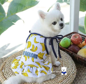 เสื้อสุนัข บางสบาย เสื้อยืดน้องหมา เสื้อน้องแมว ลายสับปะรด & Banana ราคาพร้อมส่ง