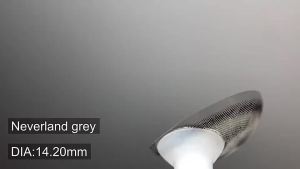 Visual Click 1 Pair Annually Color Contact es Eye Cosmetic Comfortable Myopia 0-8.00 Neverland Grey/neverland Green