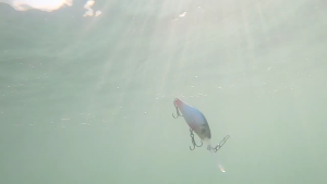 Mồi Câu Cá chìm chậm cá nhân tạo bả Topwater crankbaits wobbler Giả Cứng bả Dễ sử dụng