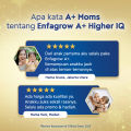 Enfagrow A+ 3 Susu Formula Anak 1-3 Tahun Plain 800gr. 
