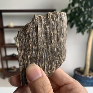 10 Or 50 Gram Agarwood/OUD Good Smell Natural Aromatic Fragrances