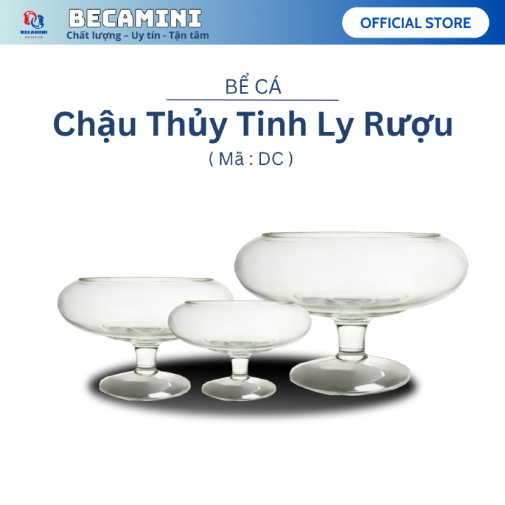 Bể cá mini để bàn ( DẠNG LY THẤP), chậu thủy tinh trang trí | Lazada.vn