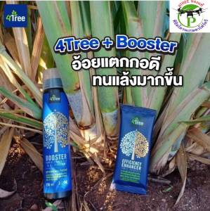 โฟร์ทรีของแท้ 4Tree +Booster คู่หูพลังคูณ 4 สารเพิ่มประสิทธิภาพอินทรีย์ธรรมชาติแท้สูตรอิออน ช่วยเร่งขยายราก พืชโตเร็ว เขียวทน เขียวนาน เพิ่ม%แป้ง เพิ่มน้ำยาง นวัตกรรมใหม่จากอิสราเอล ใช้ได้กับพืชทุกชนิด 1 ชุดใช้ได้ 20 ไร่ ของแท้ 100%
