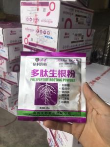 Gói Kích Rễ PRP Trung Giúp Cây Ra Rễ Cực Mạnh Hồi Phục Phát Triển Bộ Rễ và Bật mầm