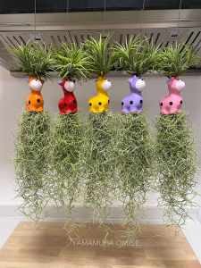 โมบายเคราฤาษีพร้อมแขวน ตุ็กตาเซรามิกรูปสัตว์คละสี สำหรับตกแต่งสวน เคราฤาษี มอสสเปน ไม้ฟอกอากาศกรองฝุ่น ม่านบังแดด เคราฤาษี