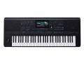 Medeli AKX10 - Arranger Pro Series 61-key 2 x 25w + 2 x 15w Workstation with Bluetooth. 