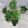 Aroid Potting Mix (Peat coarse + Perlite Cocochip med + Pumice fine + Rice husk) (6L). 