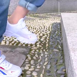 Middle and Big Childrens White Breathable Sneaker White Shoes Primary School Students New Boys Shoes Boys Spring and Autumn Childrens Tennis Shoes ㏇L0514