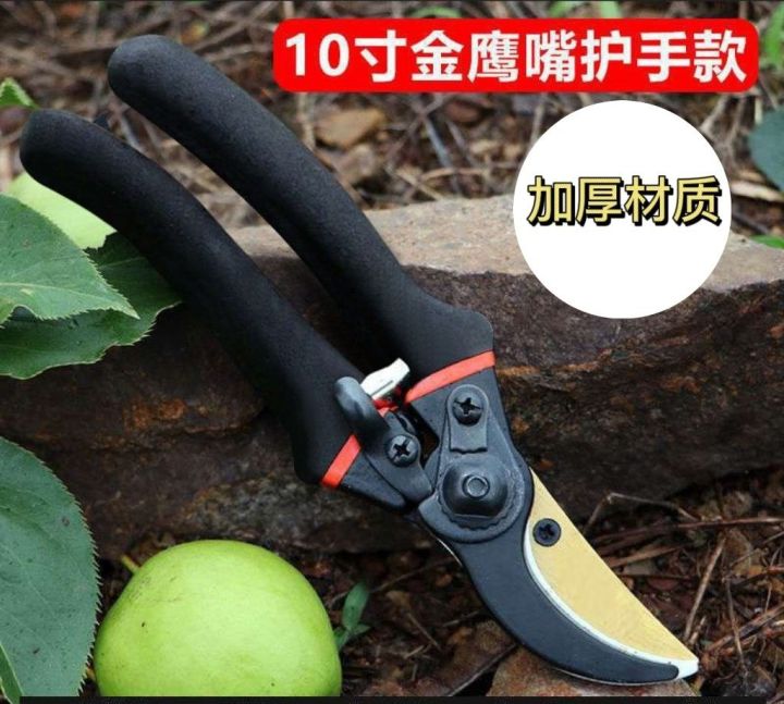 %E2%9C%A8SG%20STOCK%E2%9C%A8%20Pruning%20Shears%20Heavy%20Duty%20Garden%20Scissors%20Sharp%20Hand%20Pruner%20Anti%20Rust%20Plant%20Cutter%20Tree%20Branch%20Tool%20-%20Image%206