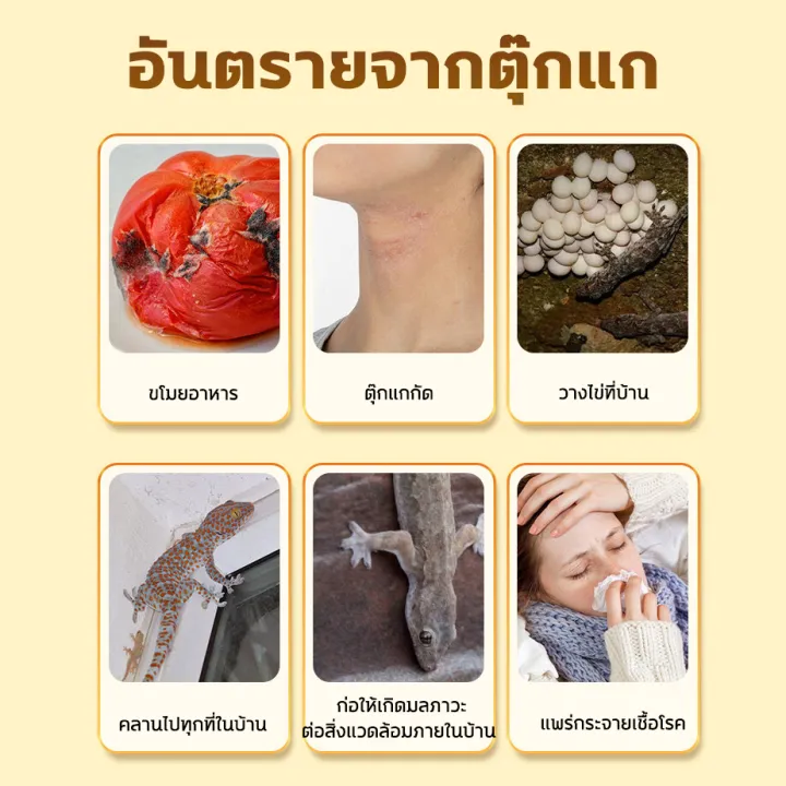 🦎🛡️ปกป้องบ้านคุณ 365 วันต่อปี🛡️ยากำจัดจิ้งจก ก้อนไล่จจิ้งก ยากำจัด ...