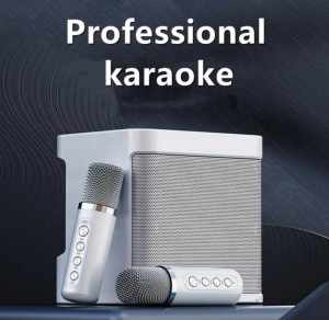 Wireless Karaoke Speaker with Two Wireless Microphones