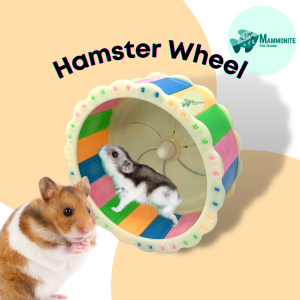 Pet Hamster Toy Running Wheel Colorful BE-P08