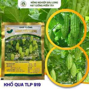 GÓI 100 HẠT KHỔ QUA 919 -TÂN LỘC PHÁT- trái có màu xanh nhạt bóng chắc trái