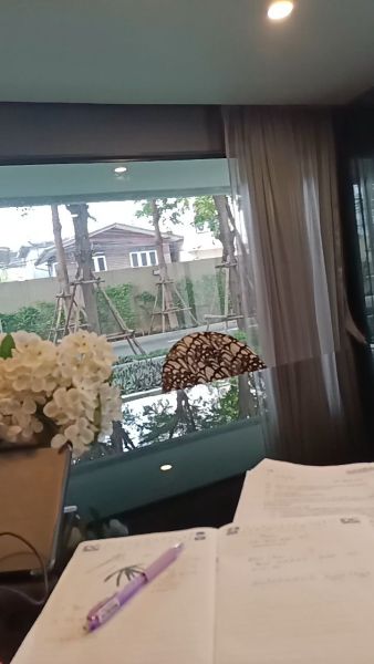 Buyer review video 2