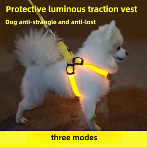 Outdoor Luminous Pet Supplies LED Luminous Dog Chest Harness Large Dog Traction Dog Walking Supplies To Prevent Getting Lost New