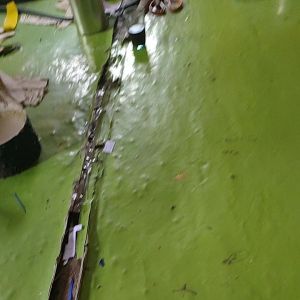 Bola Sepak Impor Lokal: Mikasa, Anak, Dewasa, Size5, Empuk