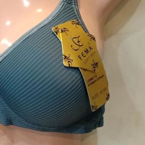 BRA FEMA salur kait 2 cup A sedang busa empuk dan awet