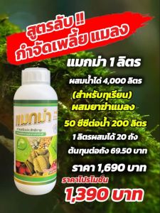 แมกม่าลาวา เหมาะใช้ร่วมกับยาฆ่าแมลง หรือสารชีวภัณฑ์ เพื่อเพิ่มประสิทธิภาพในการจัดการศัตรูพืช เช่น เพลี้ยไฟ ไรแดง เพลี้ยแป้ง ฯลฯ ลาวา สูตรเข้มข้น ครบทุกธาตุอาหาร ใช้ได้ทุกระยะของพืช