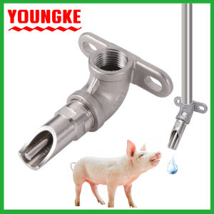 ชุดข้อต่อก็อกน้ำหมู ขนาด 1/2 นิ้ว จุกน้ำหมู ก็อกน้ำหมู จุกดูดน้ำหมู หัวดูดน้ำหมูสแตนเลส