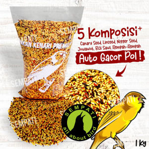 SEMPATI Mabes Canary Canaries Pakan Burung Kenari Solusi Atasi Mabung Beres Mabes Hijau Pakan Burung Botak Bulu Rontok Ganti Bulu Baru Mabung Tuntas