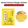 [Buy 1 Take 1] Herbal Ginger Patch Pain Relief Original Salonpas Patches. 
