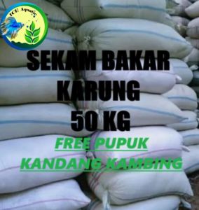 SEKAM BAKAR KARUNG 50KG ARANG SEKAM MEDIA TANAM ISI 9-10 KG // GRATIS KOHE KAMBING MURNI//