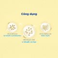Thực Phẩm Bảo Vệ Sức Khỏe ANTIBIO PRO Hỗ Trợ Bổ Sung Lợi Khuẩn, Cân Bằng Hệ Vi Sinh Hộp 20 Gói x 1g. 